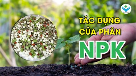 tác dụng của phân npk